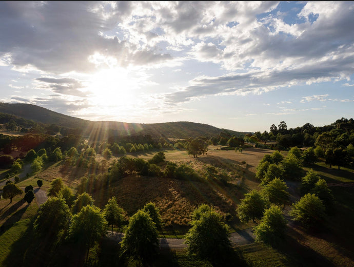 A Guide to Scattering Loved Ones Ashes in Australia | Ekulpoint Mapping Memories