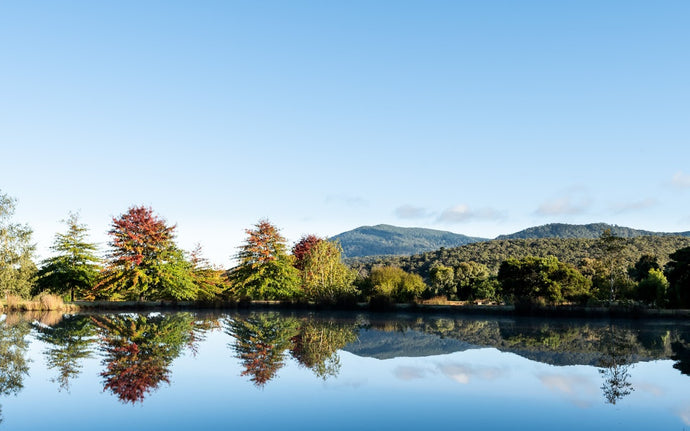 "Ekulpoint Partners with Wooling Hill Memorial Estate to Bring GPS Digital Memorials to Victoria's Largest Private Memorial Park"